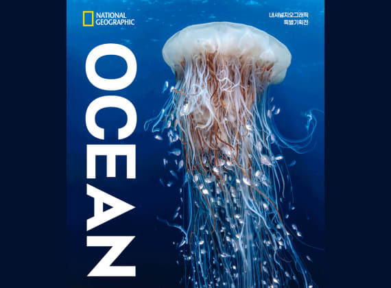 National Geographic Special Exhibition: OCEAN in Seoul