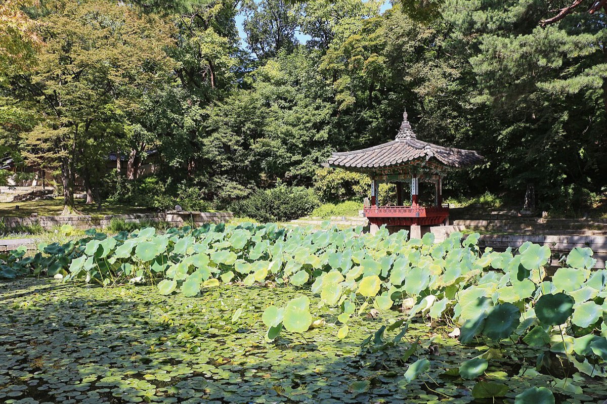 Aeryeonji, the lotus pond in the Huwon garden, with the small Aeryeonjeong pavilion at its edge.