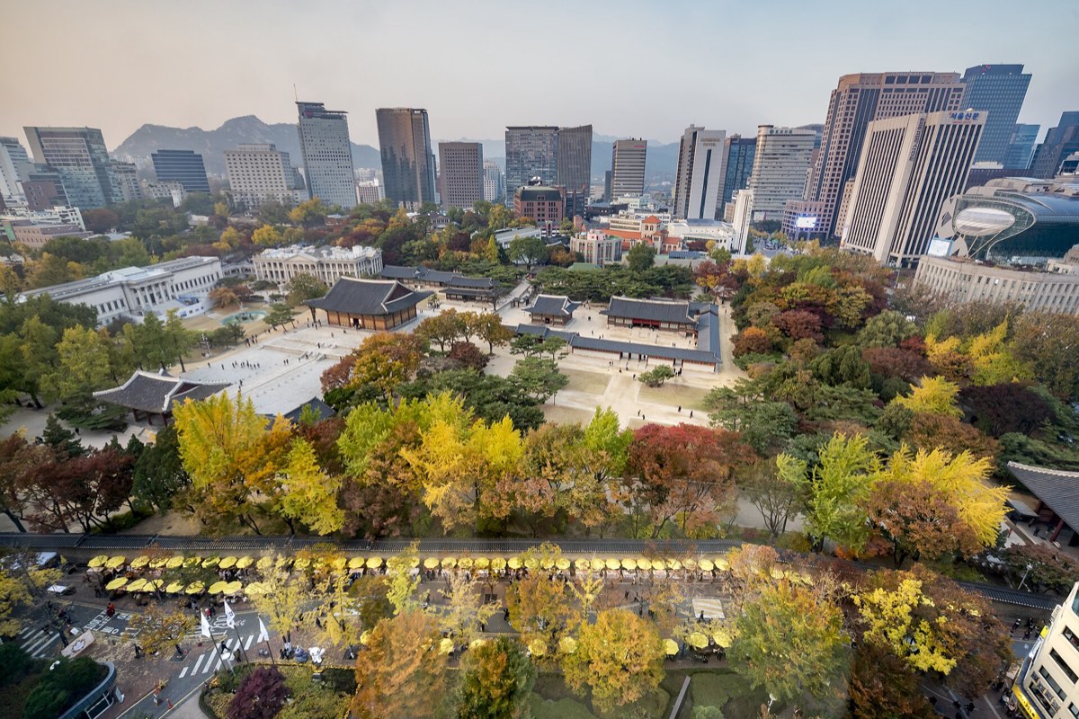 Deoksugung's halls and ginkgo trees seen from above on November 4, 2017, with downtown office towers behind.