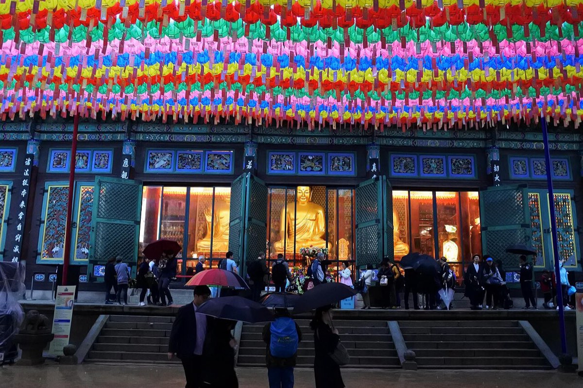 Rows of colorful lotus lanterns hang above the courtyard of Jogyesa ahead of Buddha's Birthday.