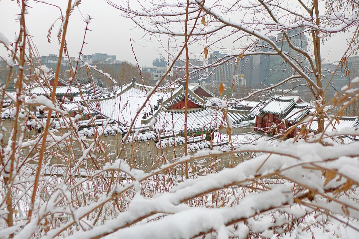 Snow-covered branches frame the rebuilt halls of Gyeonghuigung, the quiet palace in western central Seoul.