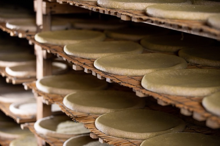 Round cakes of nuruk, the fermentation starter used to brew makgeolli, stacked on wooden racks
