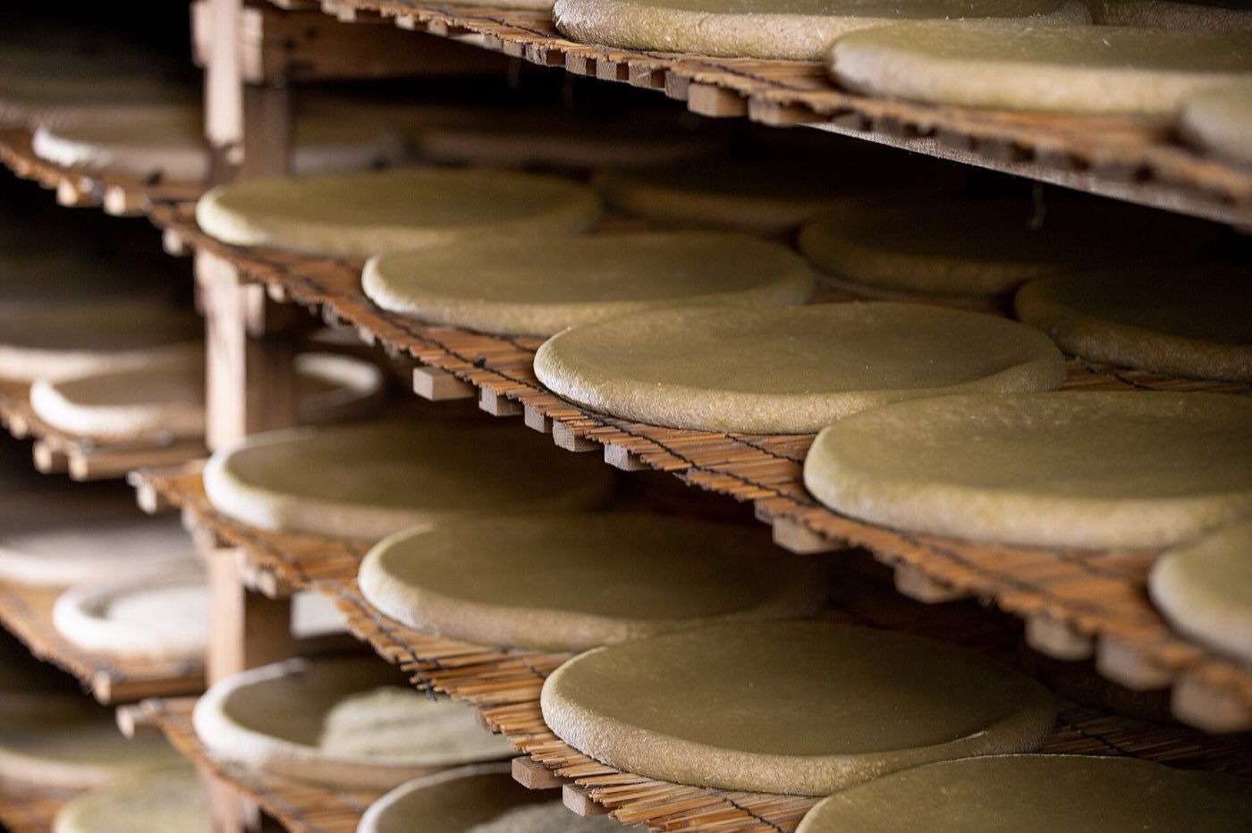 Round cakes of nuruk, the fermentation starter used to brew makgeolli, stacked on wooden racks