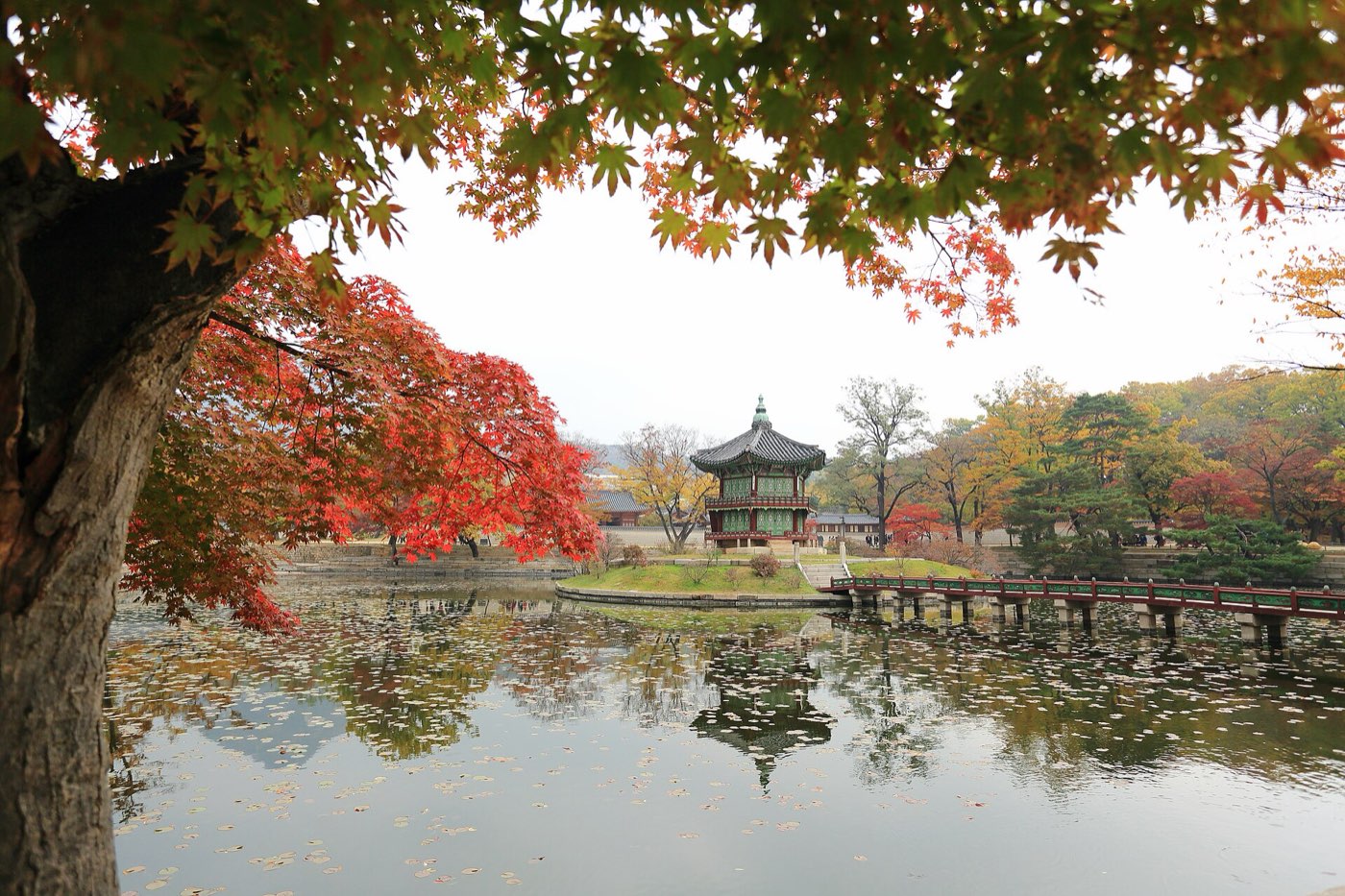 Hyangwonjeong pavilion at Gyeongbokgung reflected in its pond under autumn leaves