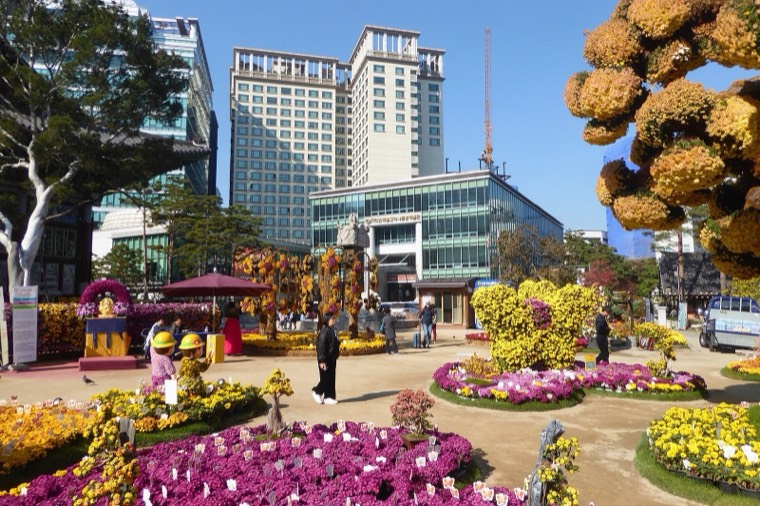 The garden around the main Buddha hall at Jogyesa Temple in central Seoul