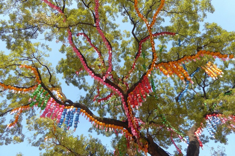 Paper lanterns hung in a tree at Jogyesa Temple for Buddha's Birthday
